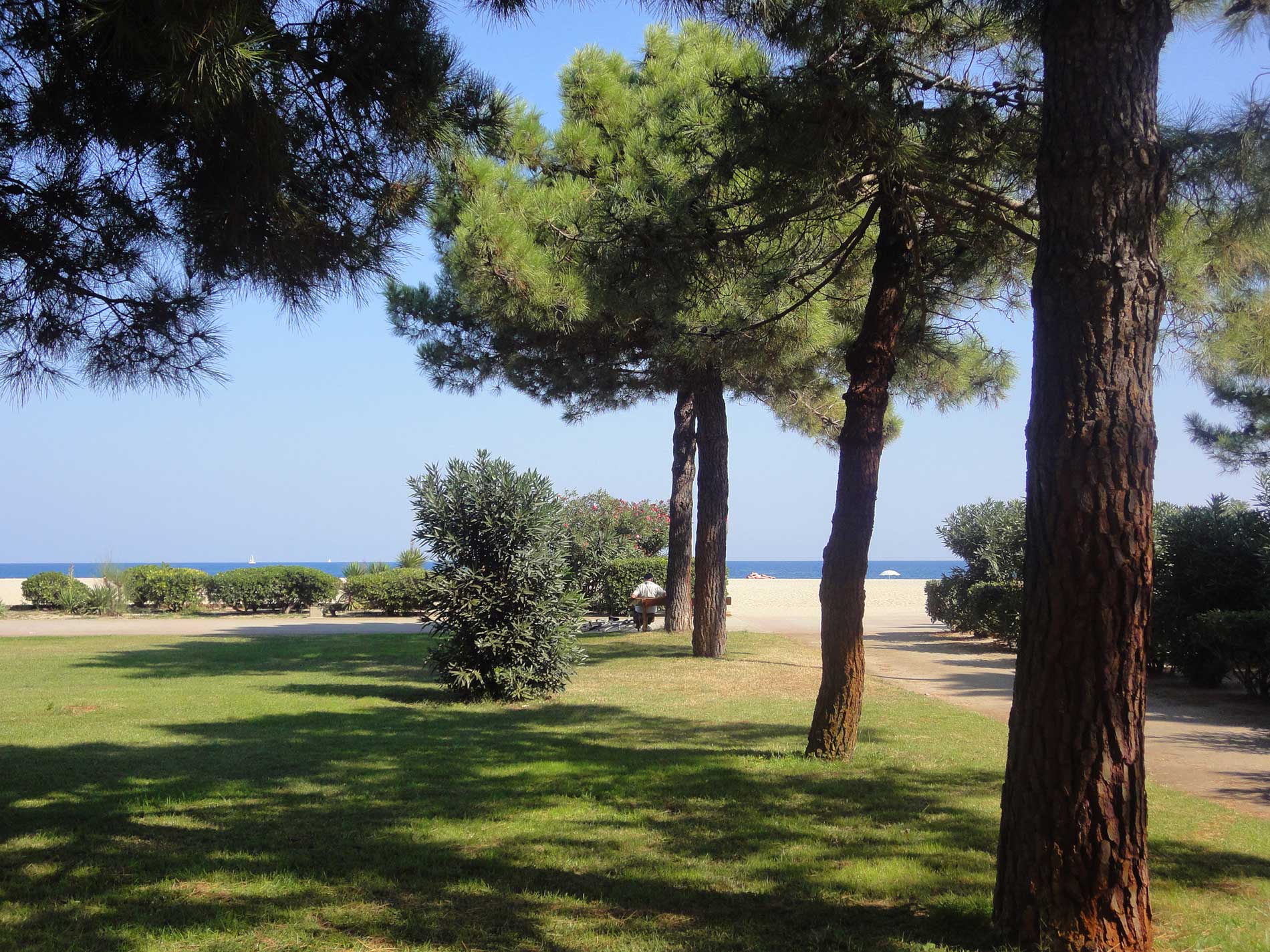 plage centrale vacances argeles